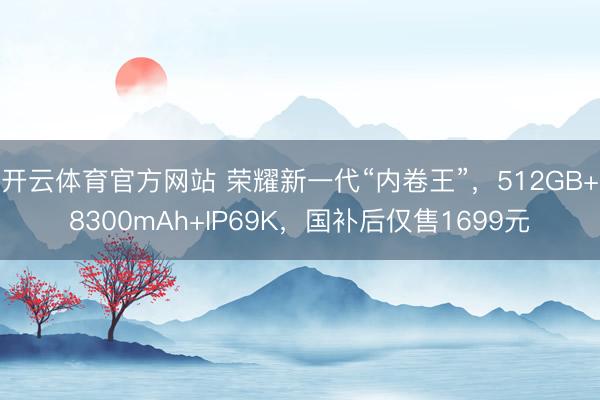 开云体育官方网站 荣耀新一代“内卷王”，512GB+8300mAh+IP69K，国补后仅售1699元
