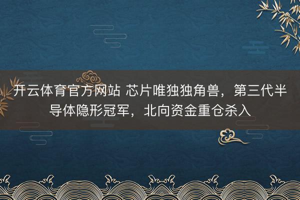 开云体育官方网站 芯片唯独独角兽,第三代半导体隐形冠军,北向资金重仓杀入